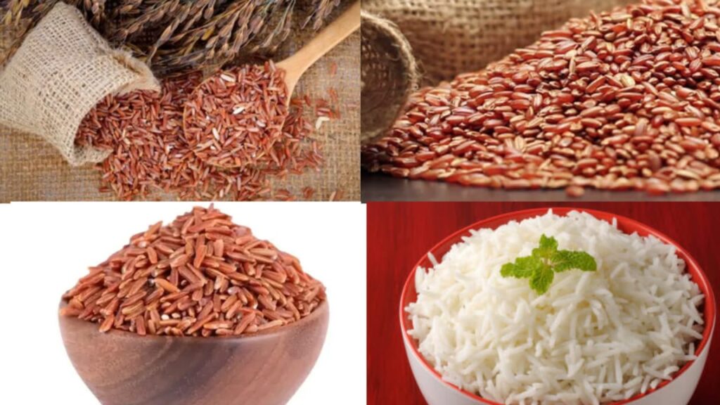 Red Rice
