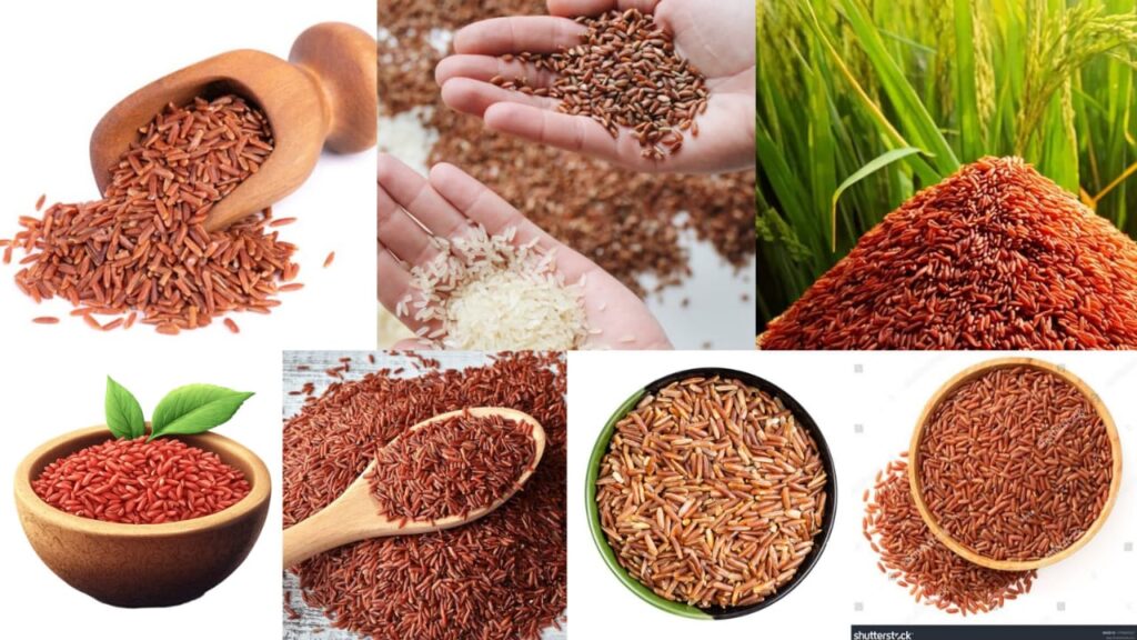Red Rice